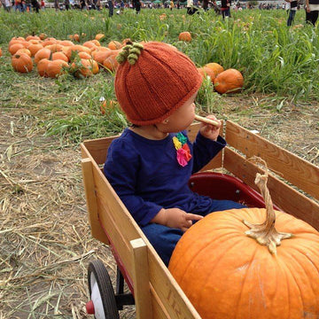 Lil Punkin Head