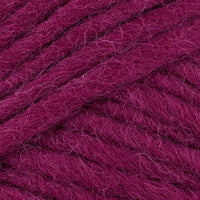 Fuchsie (27)