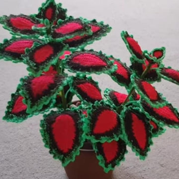 Crochet Coleus plant