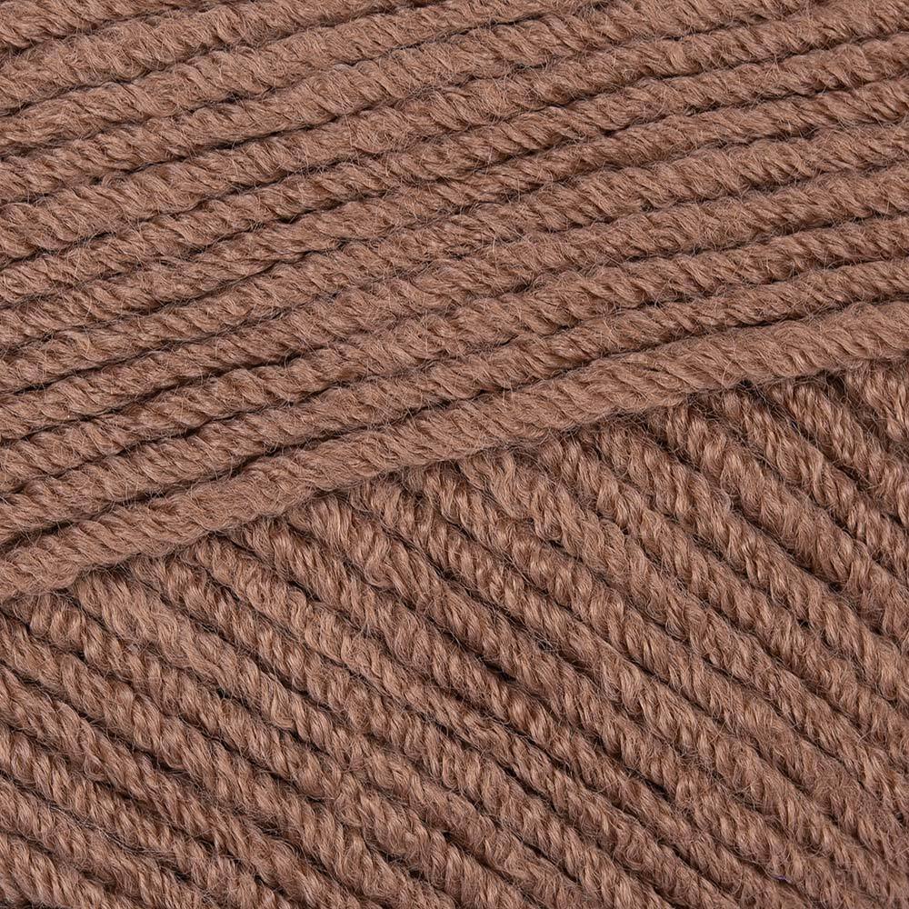 Lion Brand Color Theory