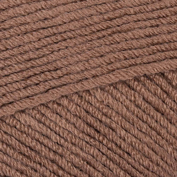 Lion Brand Color Theory