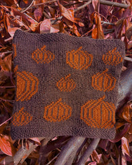 Pumpkin Patch cowl