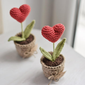 Valentine’s Day Heart Plant