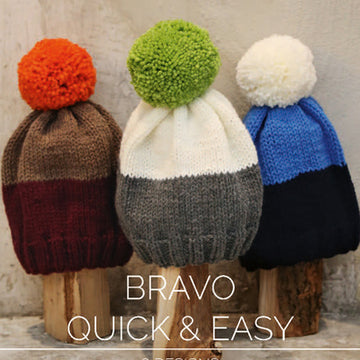 Booklet No 10 - Bravo Quick & Easy FR/NL by Schachenmayr