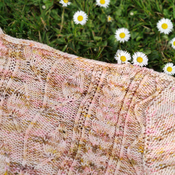 Bellis cardigan