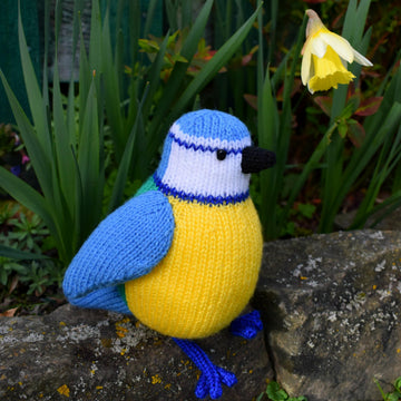 Beverley the Blue Tit