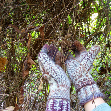 Da Vinci Cat Gloves