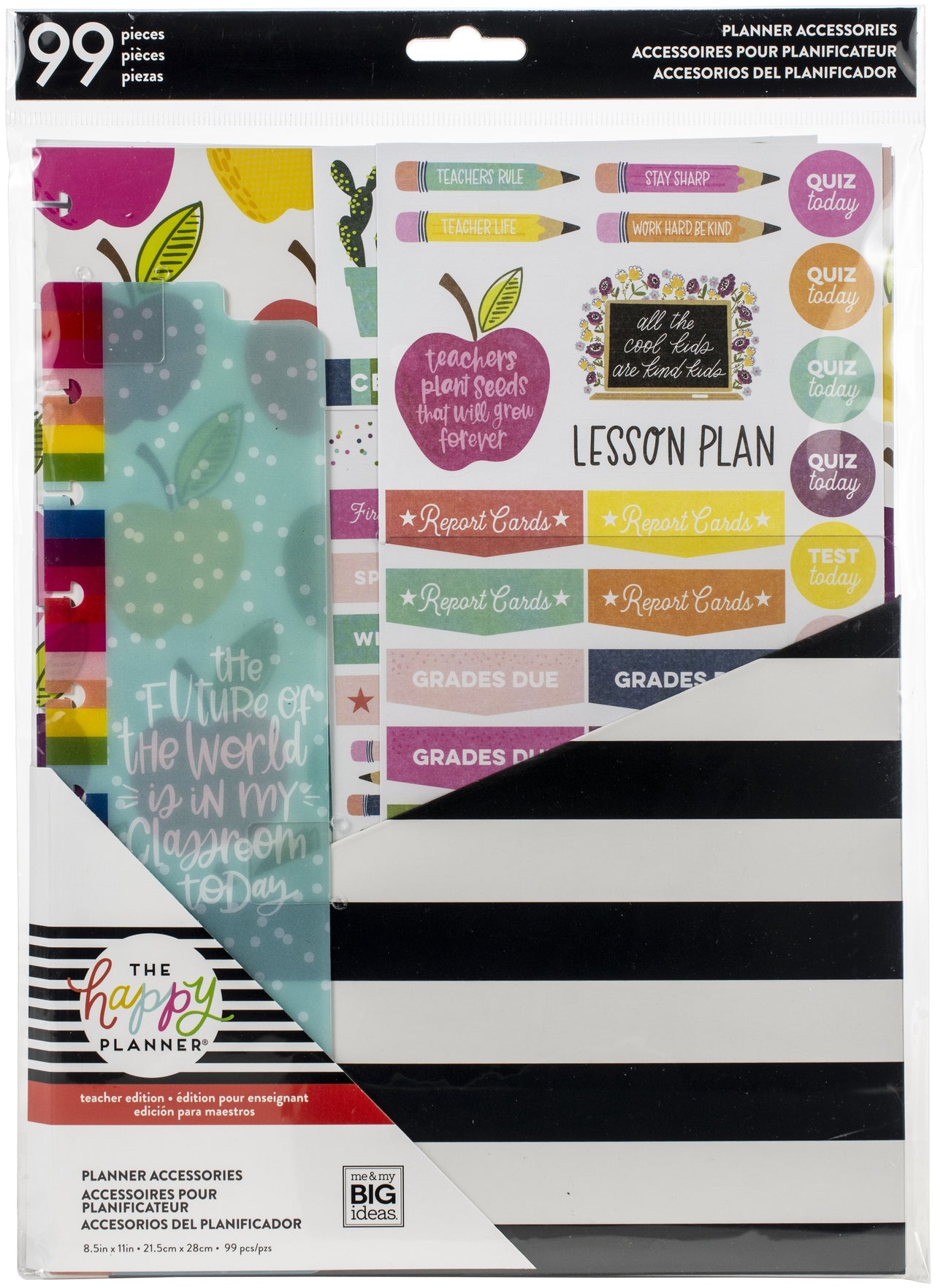 The Happy Planner Big Accessories 99/Pkg - Teacher