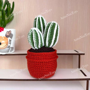 Cactus 3 in a pot