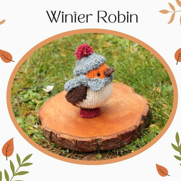 Winter Robin