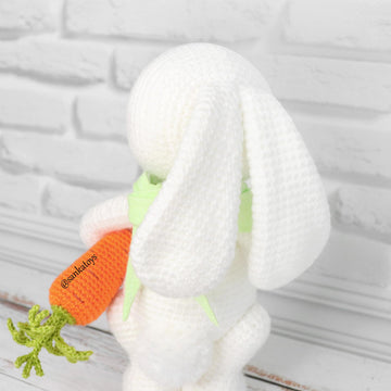 Bunny carrot Valentine