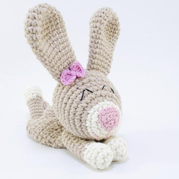 Teddy Bear and Bunny Lovey