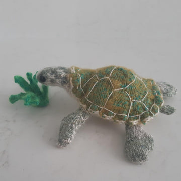 Green turtle (and sea grass)
