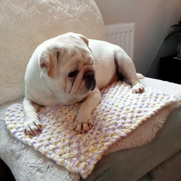 Blanket for Duggie