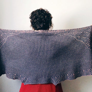 Indigo Wings