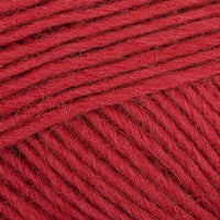 Lingonberry (523)