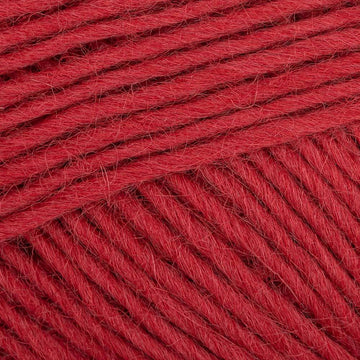 Lingonberry (523)