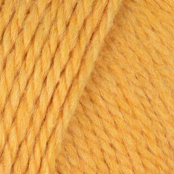 Sunflower (29)