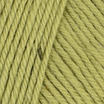 Olive (904)