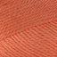 Rich Coral (410)