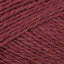 Peony (0581)