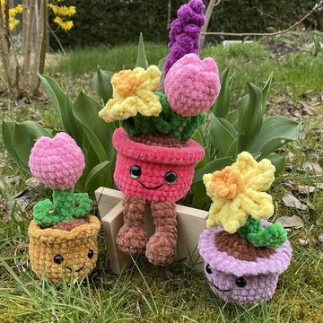 Potted Spring Flower
