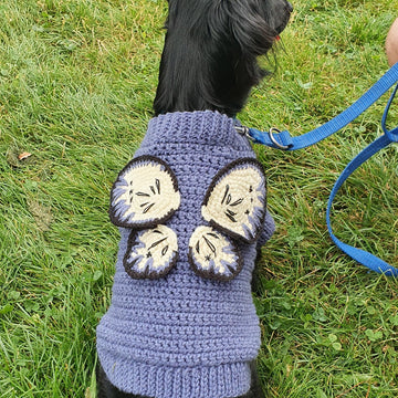 Butterfly wings