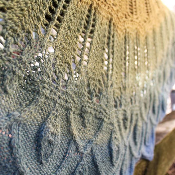 Rare Bird Shawl