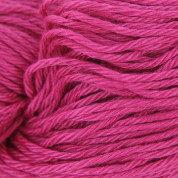 Fuchsia (805)