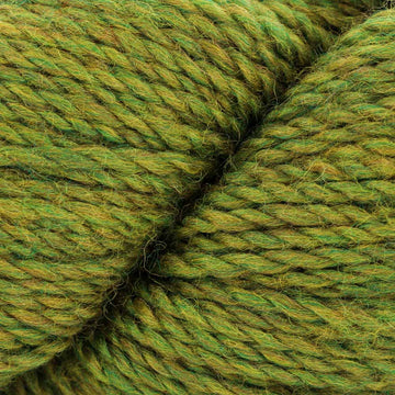 Lichen (320)