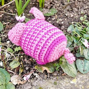 Pericles the  piglet