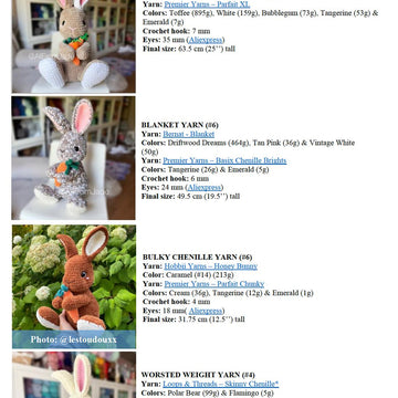 Alice the Flemish Giant Rabbit