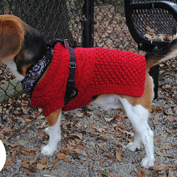 Canine Christmas Sweater