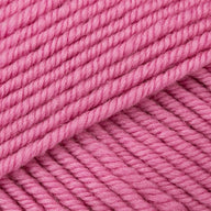 Magenta (10)
