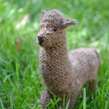 Alpaca