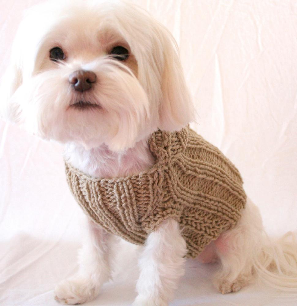 P02 Dog Hoodie Sweater