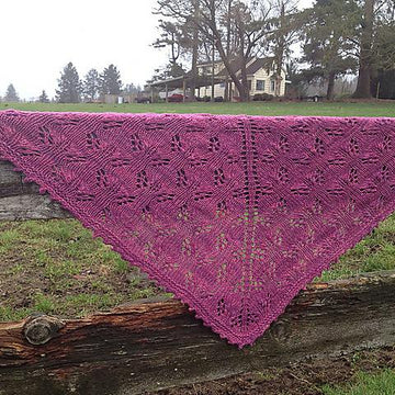 Intriguing Shawl