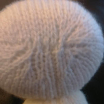 Moomin Troll