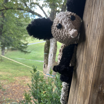 Ze, The Aye-Aye