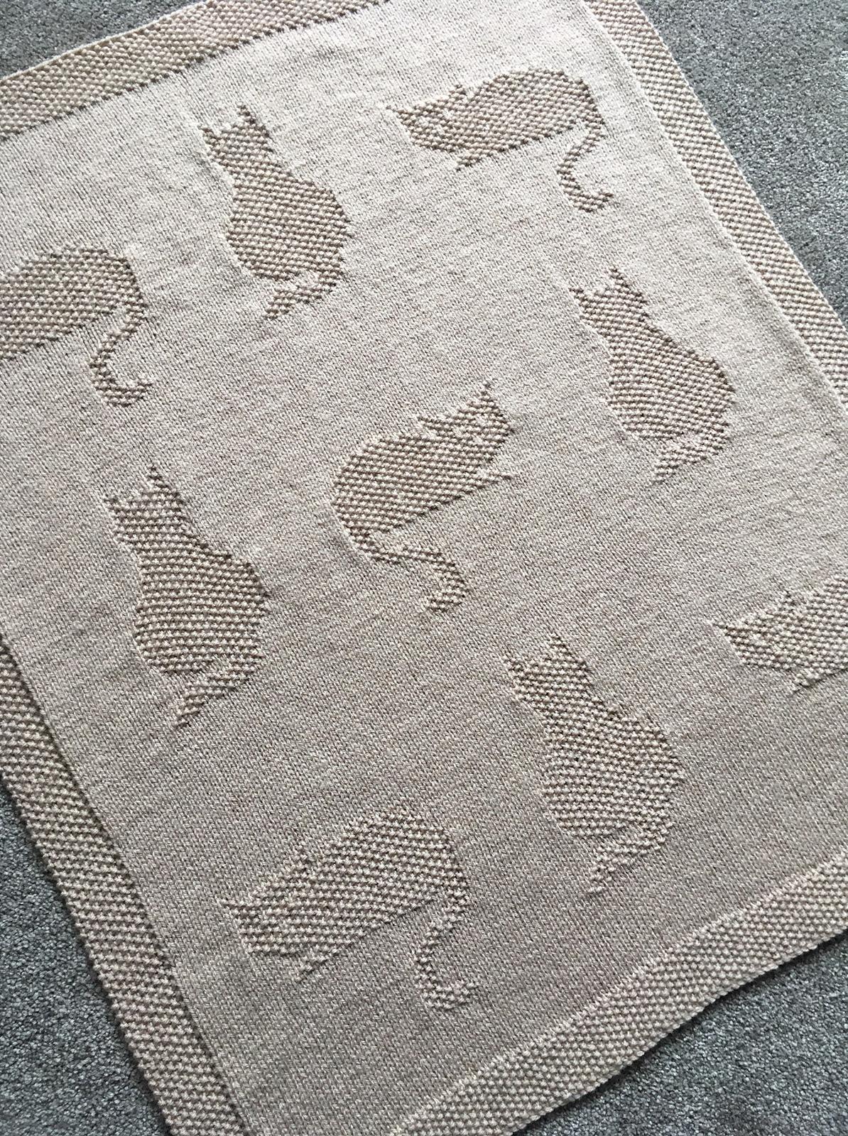 Kittens baby blanket