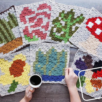 C2C Agave Plant Square