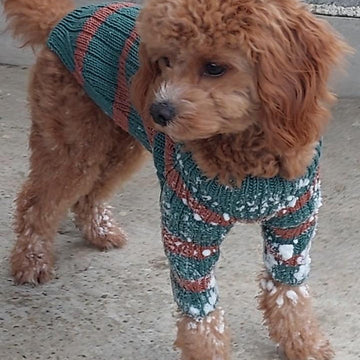 Dog Sweater Charlie No.2