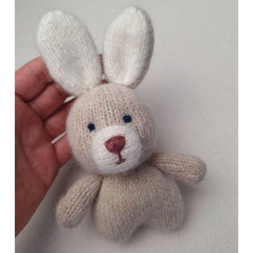Sunny the Bunny