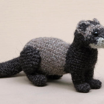 Bolhus the realistic ferret or polecat