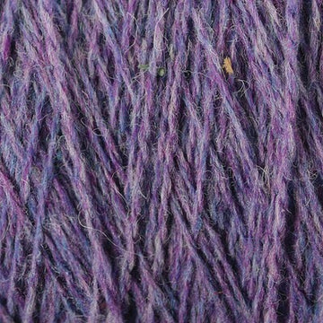 periwinkle