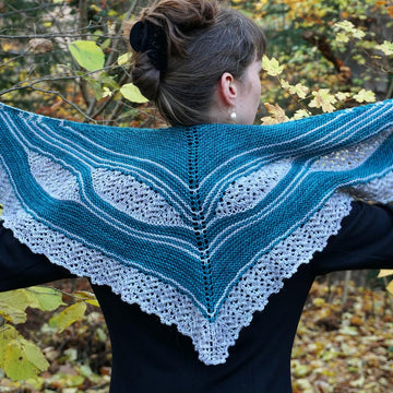 Aeshna Shawl