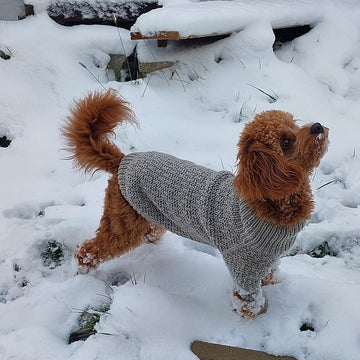Dog Sweater Charlie No.3