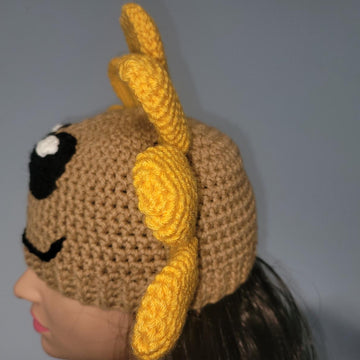 Sunflower Hat Plants V Zombies