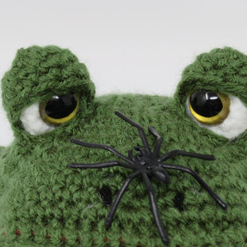 Boris the Frog