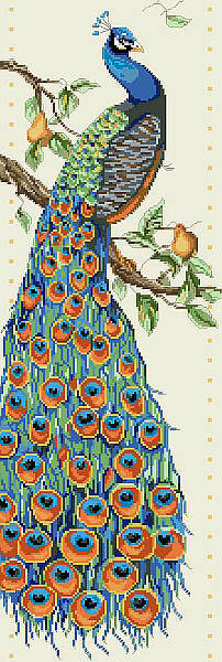Peacock - PDF